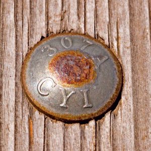 Carriage Bolt (DIN 603)