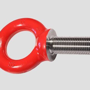 Swing Bolt DIN 444